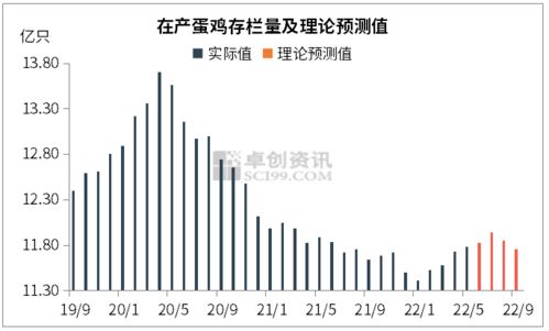 蛋价触底，三季度或迎上涨行情 市场调查与展望