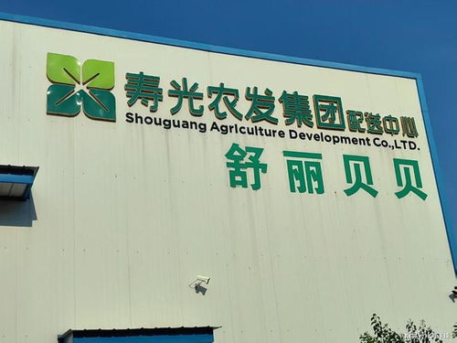 寿光农产品市场调研纪实 瓜果集散枢纽与线上拓销之困