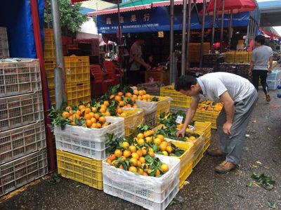 今年柑橘销售情况调查 记者一线市场调研