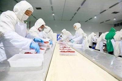 小龙虾产业进入多元竞争期 网红标签被撕后的市场迷思与挑战